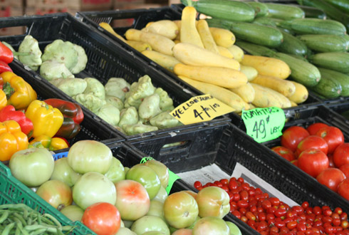 Dagdagan Farm and Produce