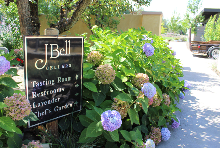 J.Bell Cellars and Lavender